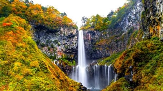 1-day tour to Nikko Toshogu Shrine + Lake Chūzenji: Irohazaka Winding Road/Kegon Waterfalls/Departing from Tokyo Day Tours