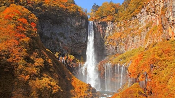 1-day tour to Nikko world heritage: Toshogu shrine & Lake Chūzenji & Kegon waterfalls & optional hot spring bath Day Tours