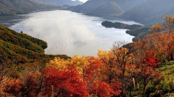 1-day tour to Nikko world heritage: Toshogu shrine & Lake Chūzenji & Kegon waterfalls & optional hot spring bath Day Tours