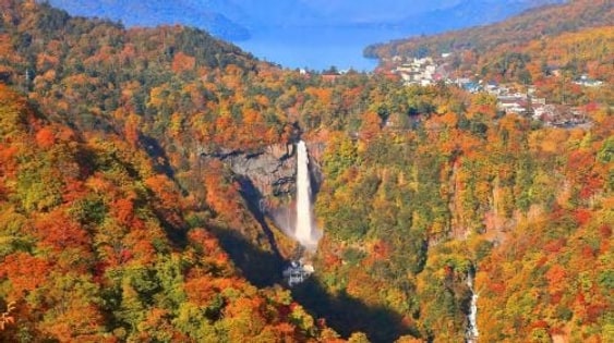 1-day tour to Nikko world heritage: Toshogu shrine & Lake Chūzenji & Kegon waterfalls & optional hot spring bath Day Tours