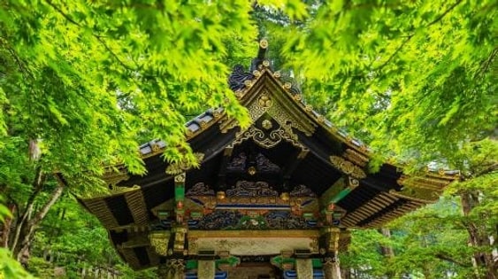 1-day tour to Nikko world heritage: Toshogu shrine & Lake Chūzenji & Kegon waterfalls & optional hot spring bath Day Tours