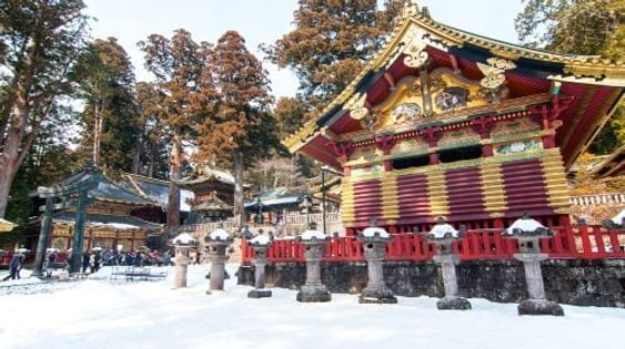 Nikko World Heritage Site, Toshogu Shrine, Lake Chuzenji, and Kegon Falls 1-day tour with Autumn Leaf Viewing Day Tours