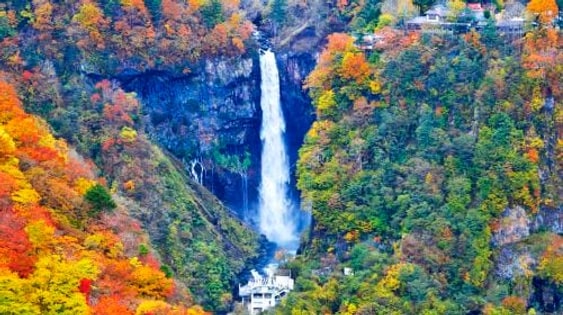 Nikko World Heritage Site, Toshogu Shrine, Lake Chuzenji, and Kegon Falls 1-day tour with Autumn Leaf Viewing Day Tours