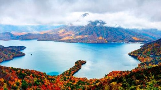 Nikko World Heritage Site, Toshogu Shrine, Lake Chuzenji, and Kegon Falls 1-day tour with Autumn Leaf Viewing Day Tours