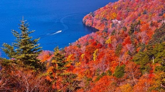 Nikko World Heritage Site, Toshogu Shrine, Lake Chuzenji, and Kegon Falls 1-day tour with Autumn Leaf Viewing Day Tours