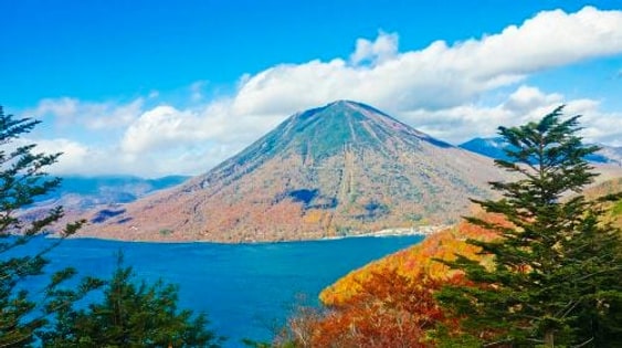 Nikko World Heritage Site, Toshogu Shrine, Lake Chuzenji, and Kegon Falls 1-day tour with Autumn Leaf Viewing Day Tours