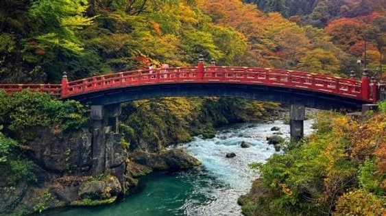 Nikko World Heritage Site, Toshogu Shrine, Lake Chuzenji, and Kegon Falls 1-day tour with Autumn Leaf Viewing Day Tours