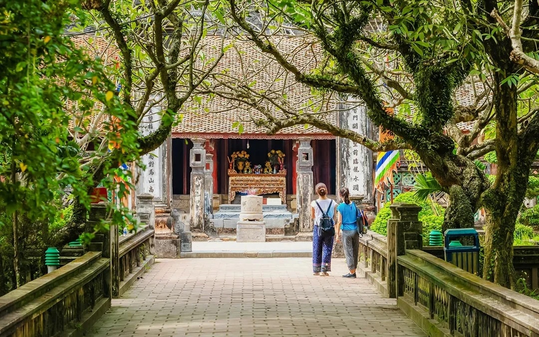 Ninh Binh Tour - Trang An, Hoa Lu/Bai Dinh Pagoda & Mua Caves Image 3