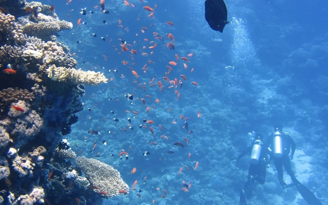 Nusa Dua Sea Walker Underwater Experience and Transfers Image 6