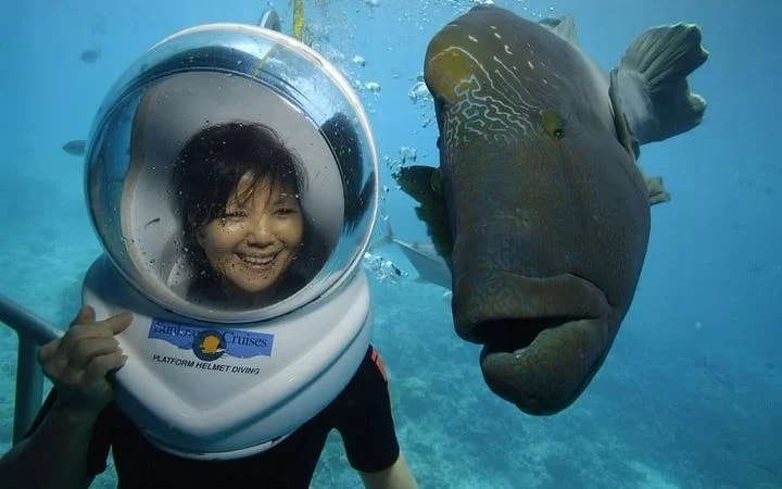 Nusa Dua Sea Walker Underwater Experience and Transfers Image 8