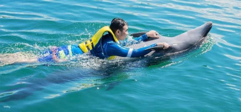 Ocean Adventure, Subic Bay in Manila | Phillippines