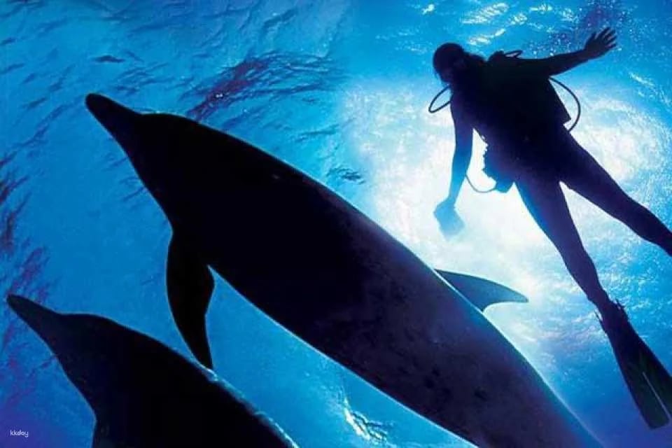 Ocean Adventure, Subic Bay in Manila | Phillippines