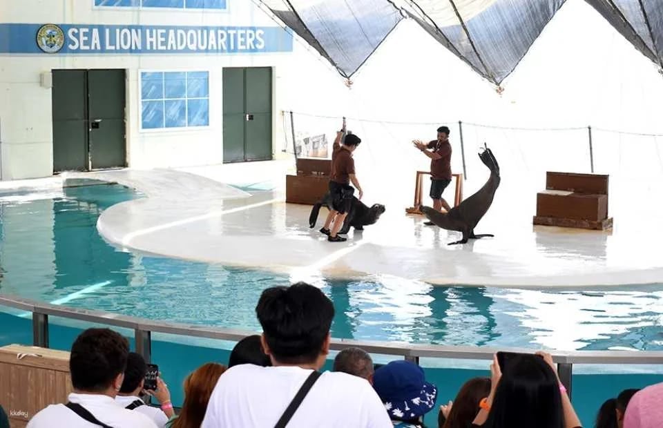 Ocean Adventure, Subic Bay in Manila | Phillippines