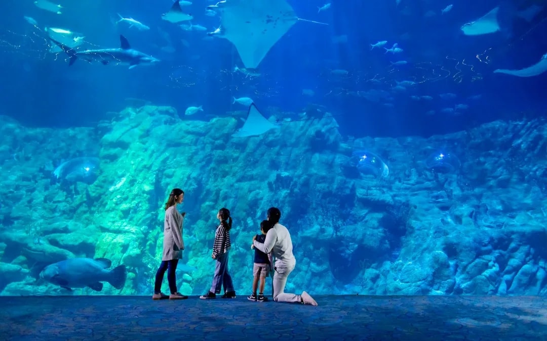Ocean Park Hong Kong Tickets Image 7
