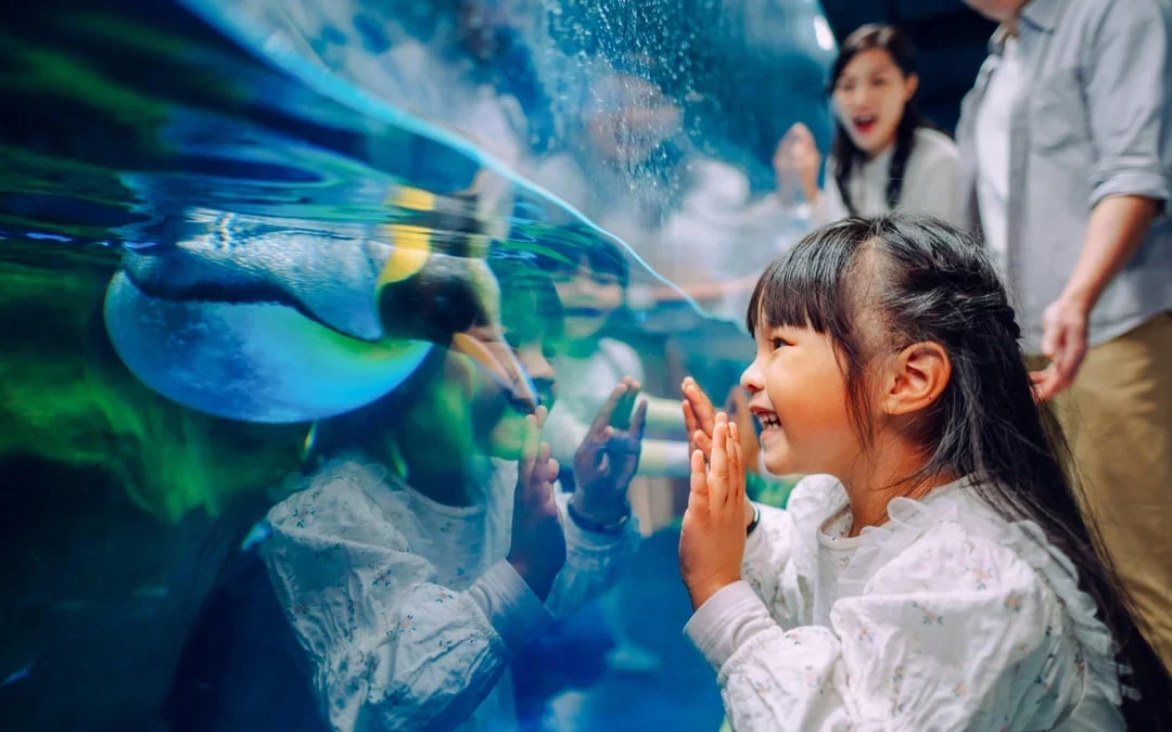 Ocean Park Hong Kong Tickets Image 9