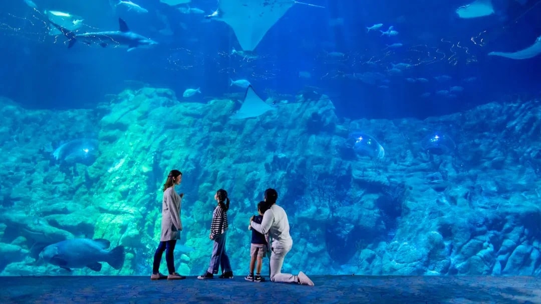 Visitors observing marine life at The Grand Aquarium, Ocean Park Theme Park.