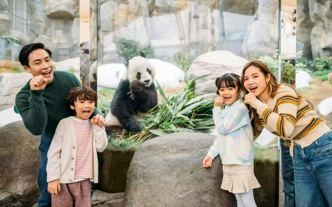 Ocean Park Ticket with Exclusive Giant Panda Twins Encounter Image 1