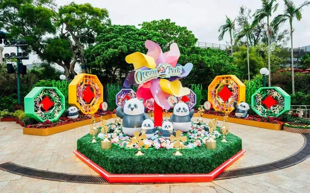 Ocean Park Ticket with Exclusive Giant Panda Twins Encounter Image 2