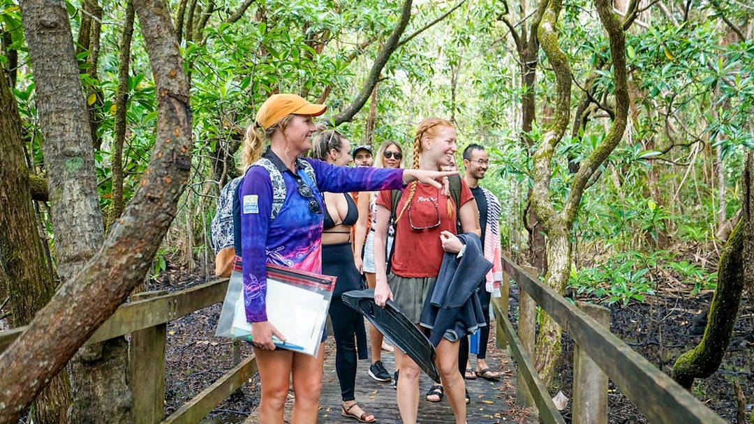 Group on a guided forest walk during Ocean Safari Tour.