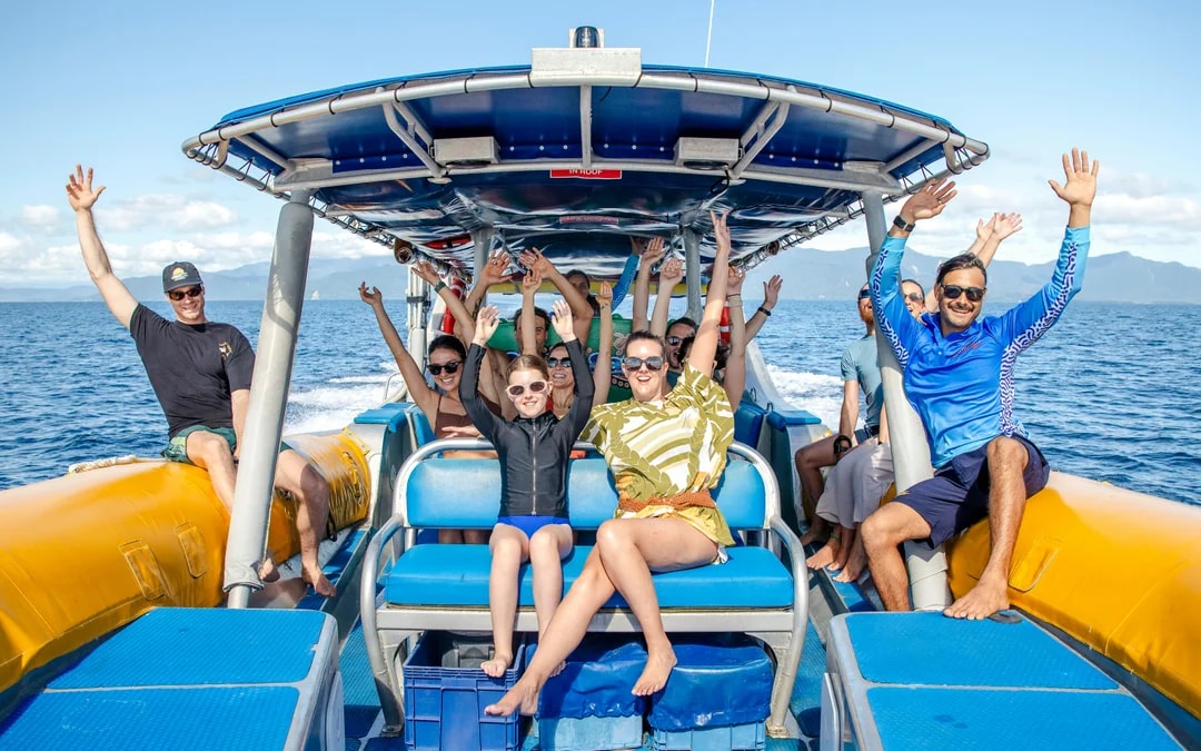 From Cape Tribulation: Great Barrier Reef Guided Snorkel & Eco Tour Image 6