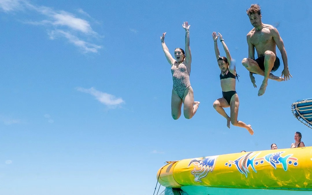 From Cape Tribulation: Great Barrier Reef Guided Snorkel & Eco Tour Image 7