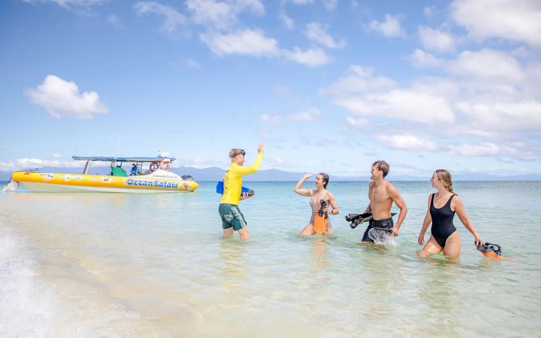 From Cape Tribulation: Great Barrier Reef Guided Snorkel & Eco Tour Image 8