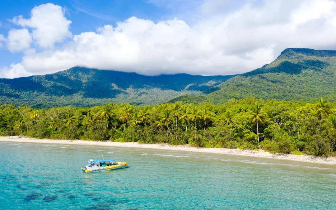 From Cape Tribulation: Great Barrier Reef Guided Snorkel & Eco Tour Image 1