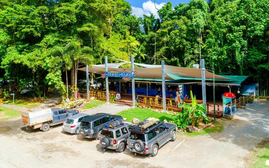 From Cape Tribulation: Great Barrier Reef Guided Snorkel & Eco Tour Image 3
