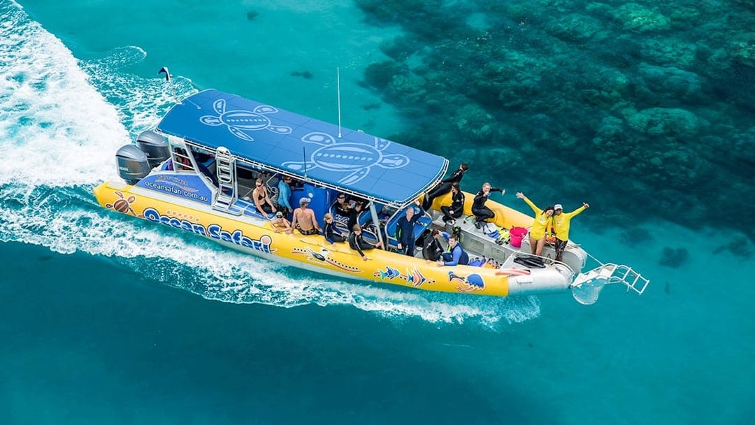 From Cape Tribulation: Great Barrier Reef Guided Snorkel & Eco Tour