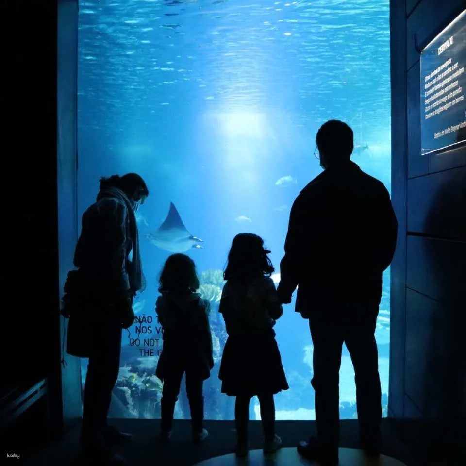 Oceanário de Lisboa Ticket ｜Lisbon