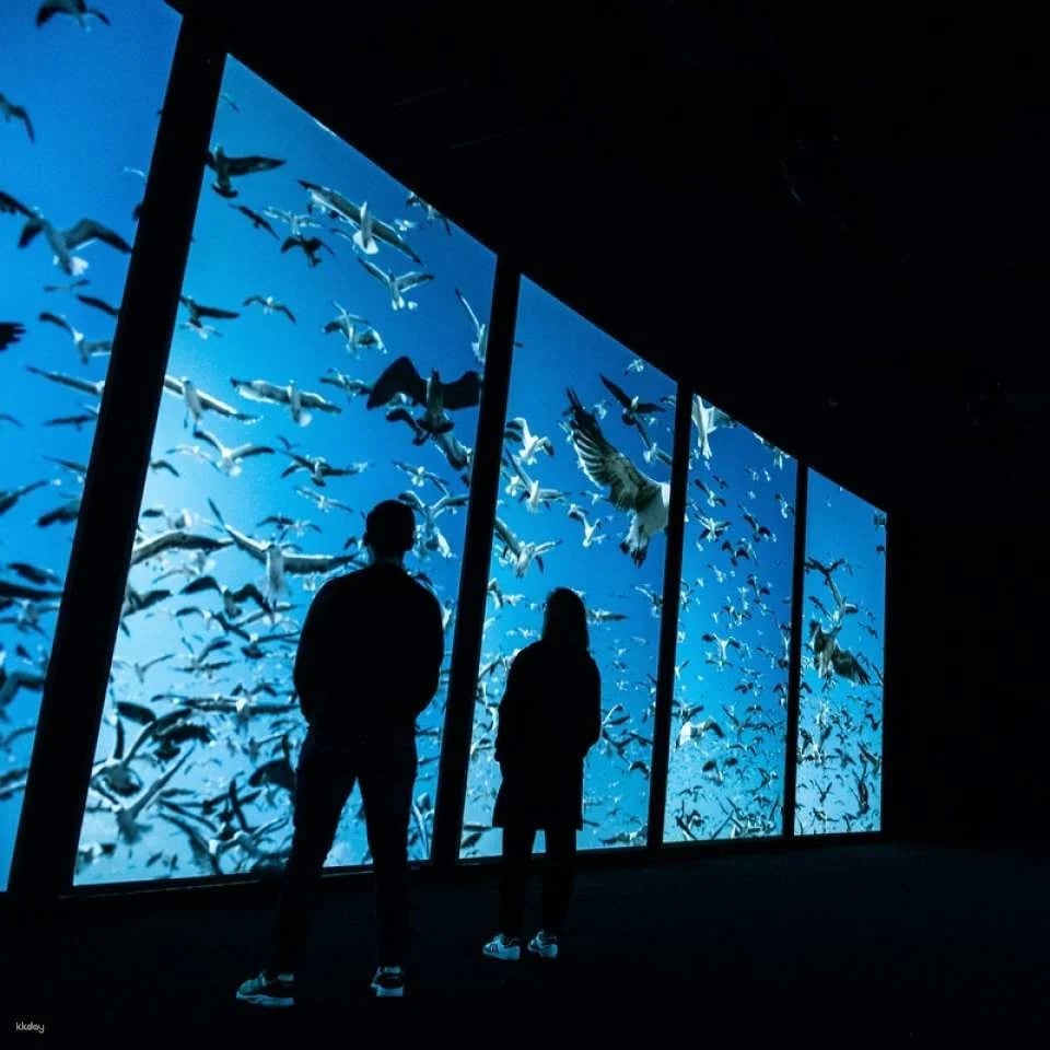 Oceanário de Lisboa Ticket ｜Lisbon