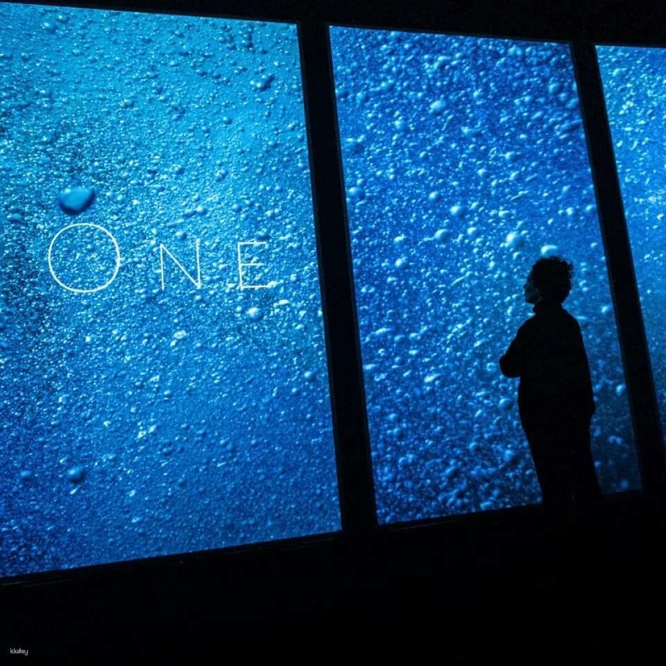 Oceanário de Lisboa Ticket ｜Lisbon