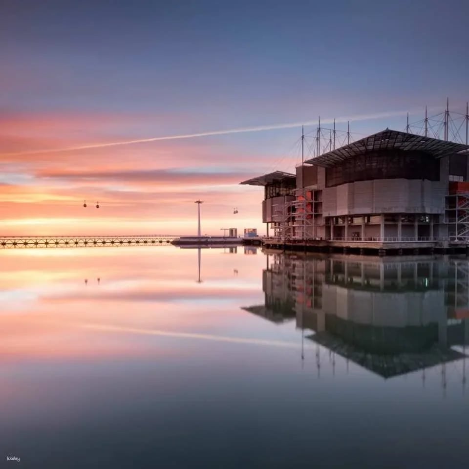 Oceanário de Lisboa Ticket ｜Lisbon
