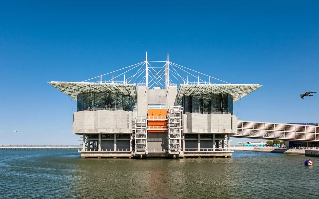 Oceanário de Lisboa Tickets Image 5