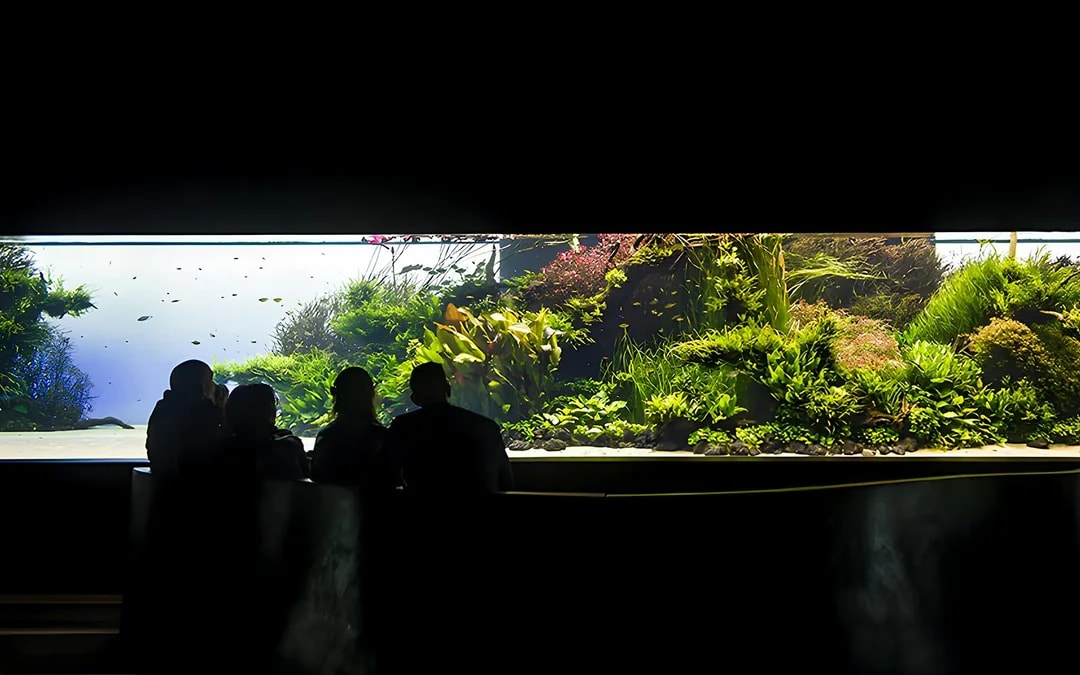 Oceanário de Lisboa Tickets Image 10