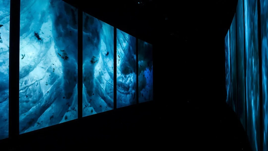 Lisbon Oceanarium One Universe exhibit with illuminated blue panels.