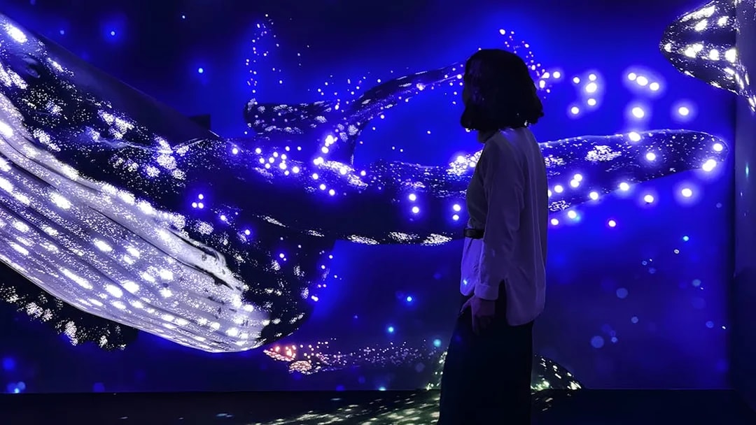Woman observing illuminated marine display at Lisbon Oceanarium Submerged Universe.