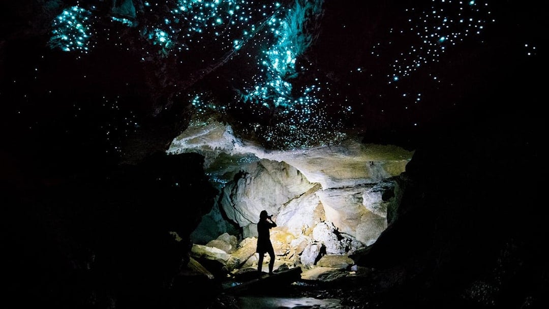 Glowworms illuminating Waitomo Caves with a silhouetted person on a guided tour.