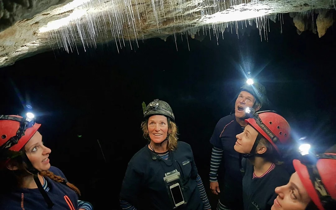 Offbeat Waitomo Glowworm Cave Small Group Guided Tour Image 5