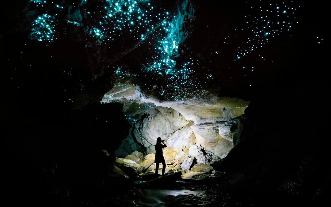 Offbeat Waitomo Glowworm Cave Small Group Guided Tour Image 1