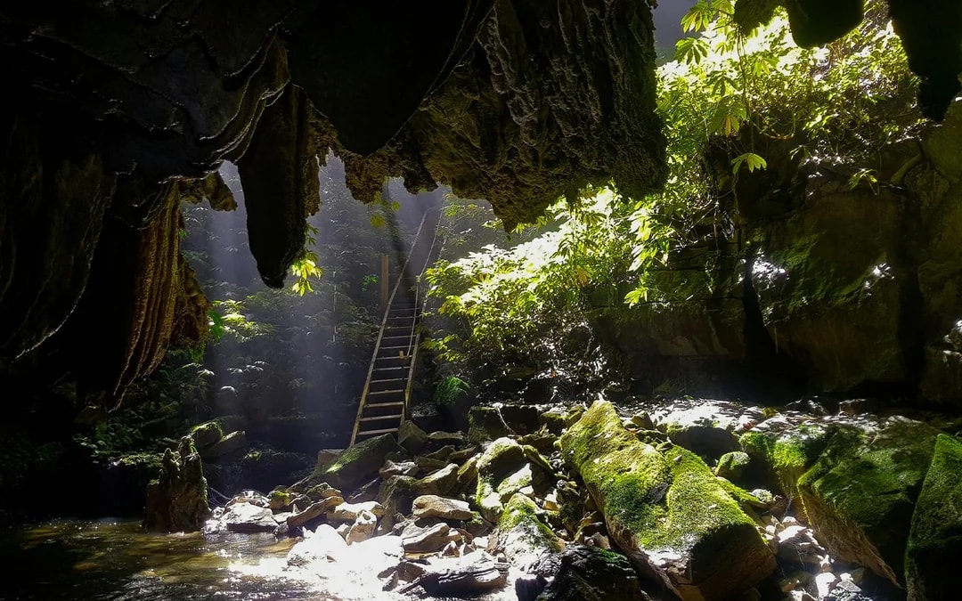 Offbeat Waitomo Glowworm Cave Small Group Guided Tour Image 2