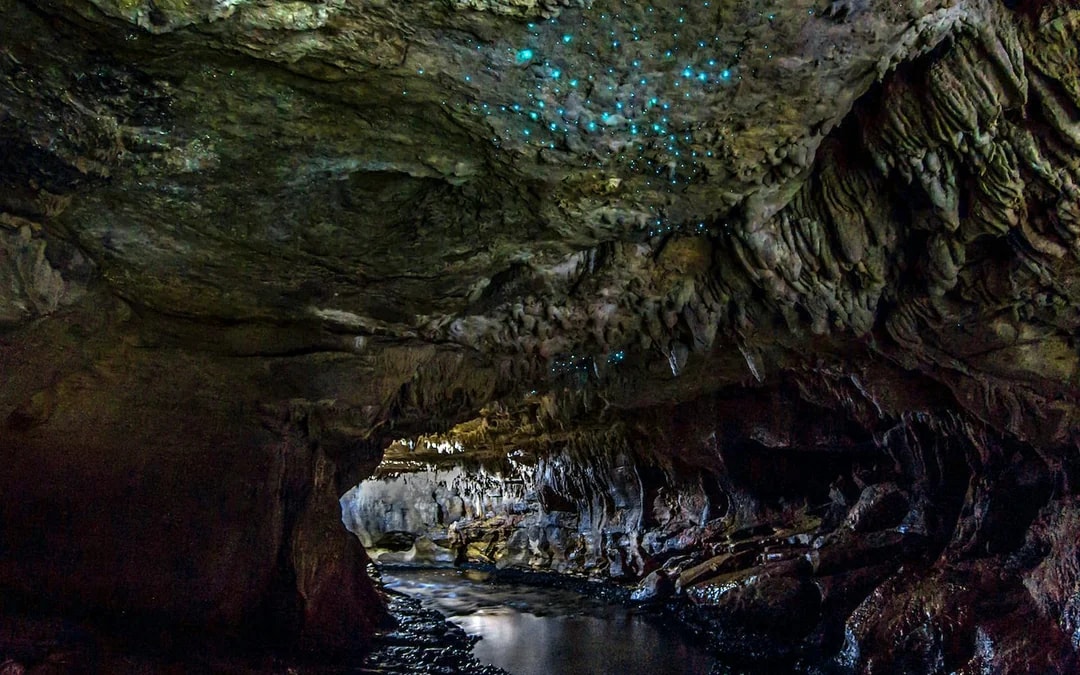Offbeat Waitomo Glowworm Cave Small Group Guided Tour Image 3