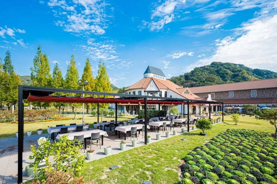 [Official Sale] Towel Museum Admission Ticket (Imabari City, Ehime Prefecture)