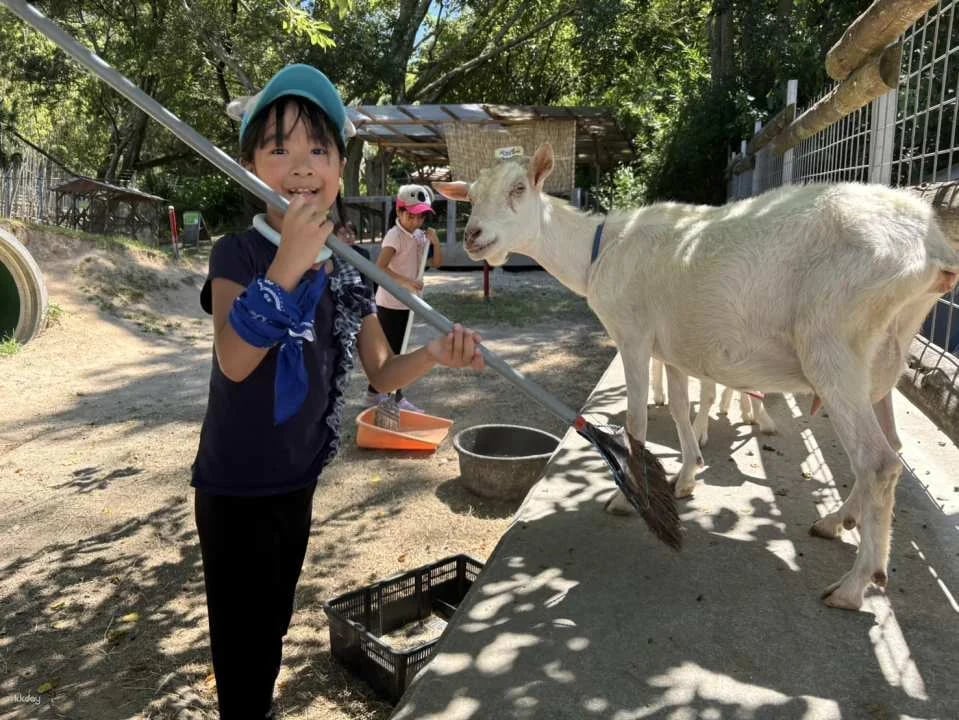 [Official Sales] Shirotori Zoo Admission Ticket (Kagawa Prefecture Zoo)