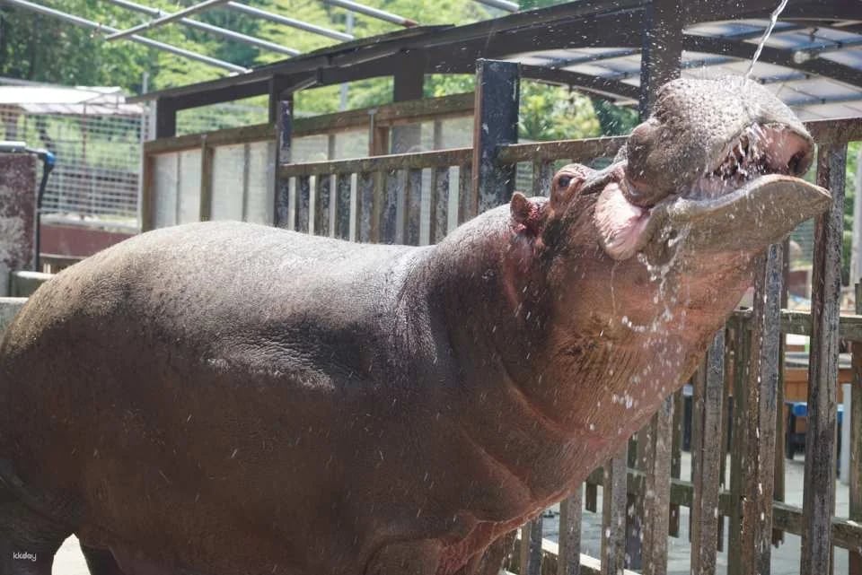 [Official Sales] Shirotori Zoo Admission Ticket (Kagawa Prefecture Zoo)