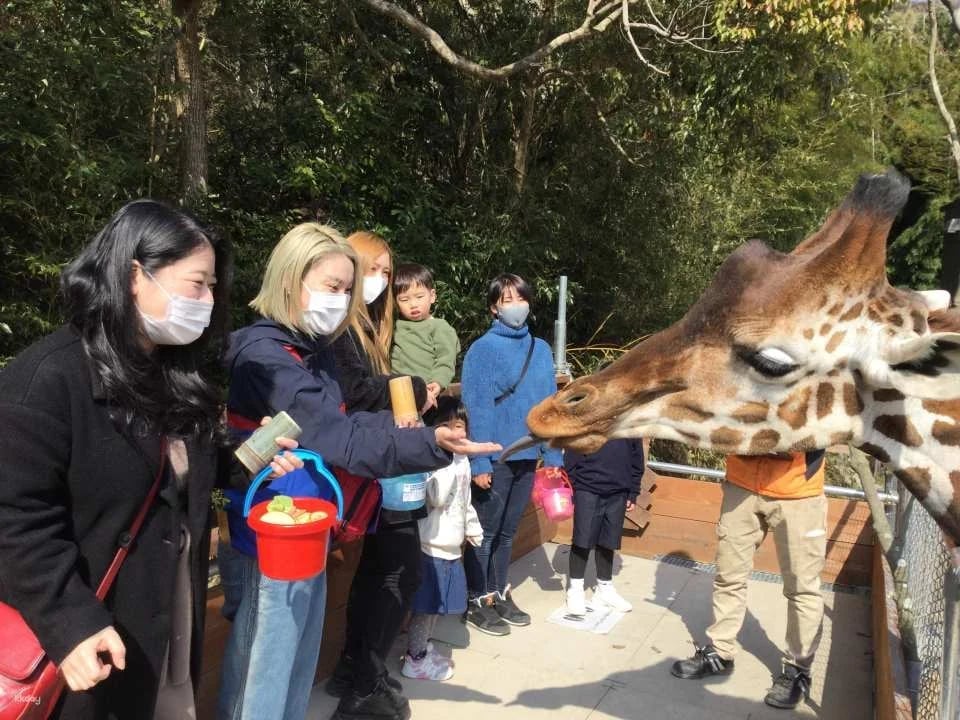 [Official Sales] Shirotori Zoo Admission Ticket (Kagawa Prefecture Zoo)