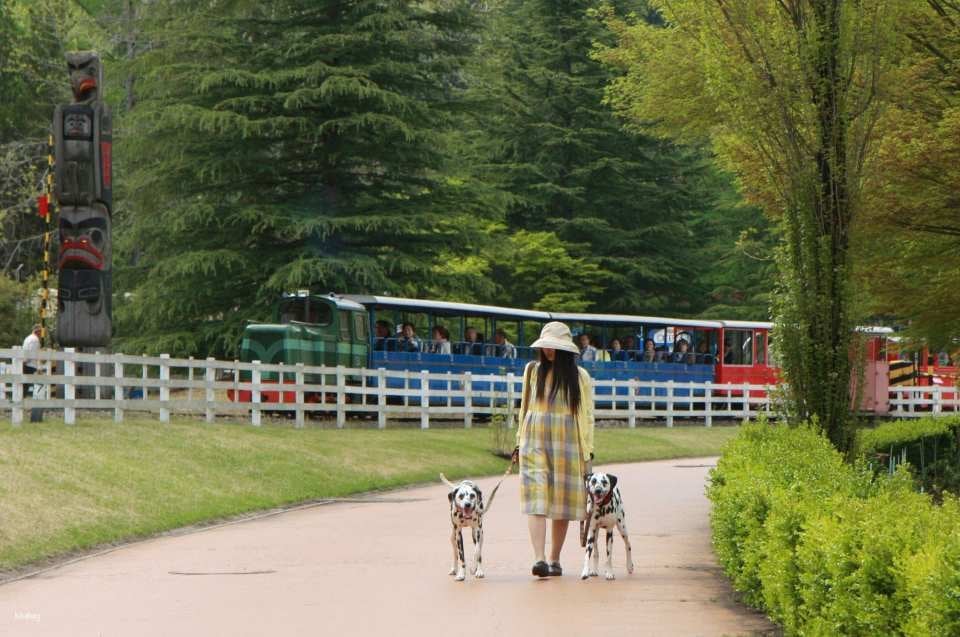 [Official Sales] Shuzenji Niji no Sato Admission Ticket (Shizuoka Prefecture, Izu) | Instant Booking