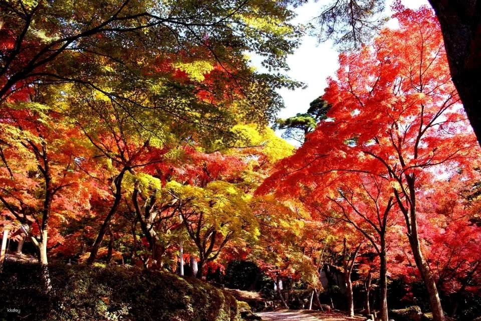 [Official Sales] Shuzenji Niji no Sato Admission Ticket (Shizuoka Prefecture, Izu) | Instant Booking