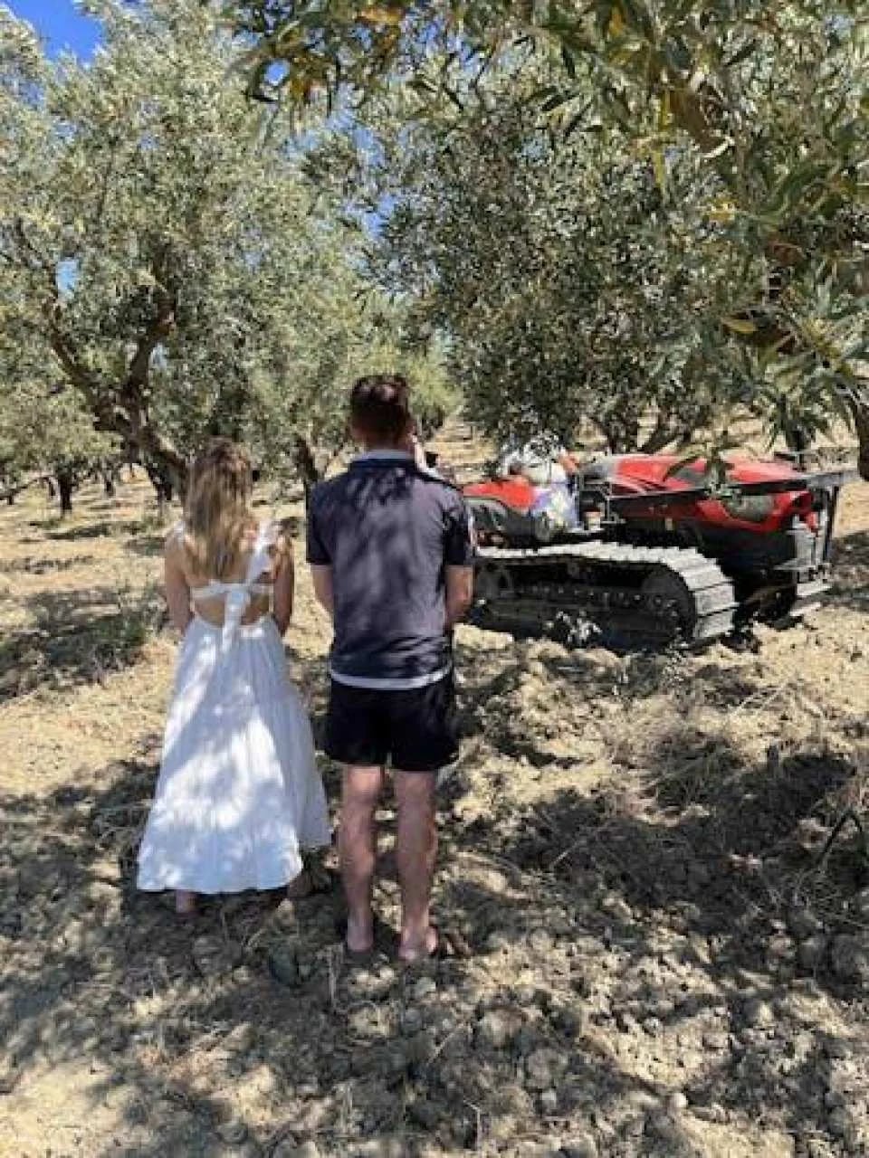 Oil and food tasting in the province of Agrigento