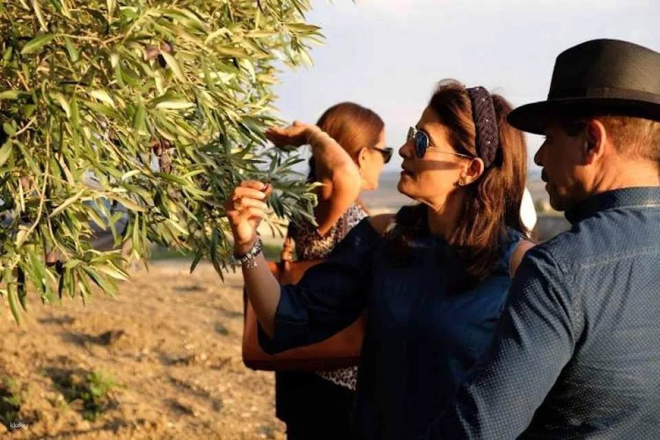 Oil and food tasting in the province of Agrigento